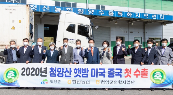 청양산 햇밤 28톤 중국 수출길 열려