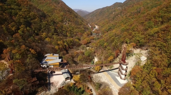 금산산림문화타운