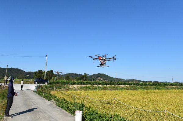 드론활용 월동 사료작물 적기 파종 모습