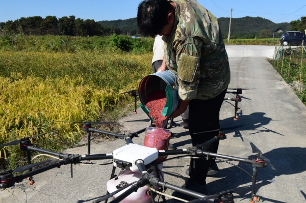 드론활용 월동 사료작물 적기 파종 모습