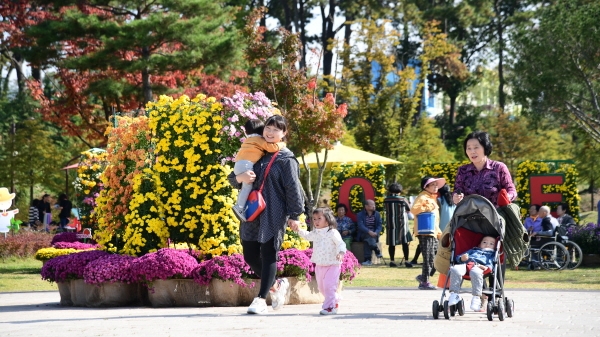 지난해 국화전시회 모습