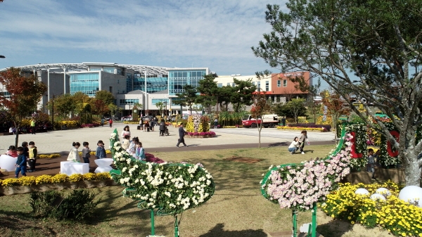 지난해 국화전시회 모습