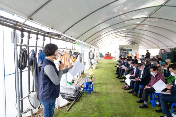 충남 청양에서 기능성 멜론 ‘가바론’ 탄생-농가의 재배과정 설명