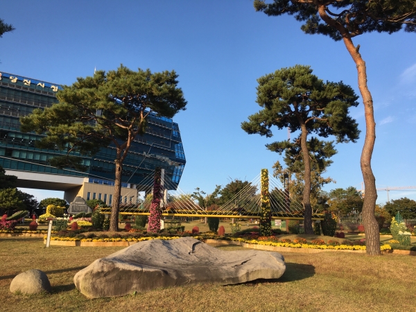 당진시청 일원에 활짝 핀 국화가 전시 준비를 마쳤다.