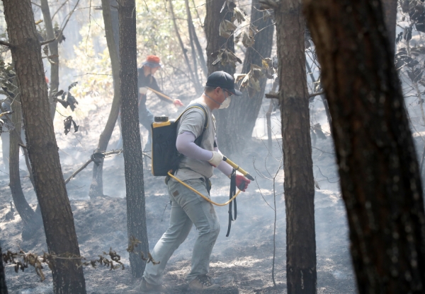 지난해 원북면 이곡리 산불 진화 모습.