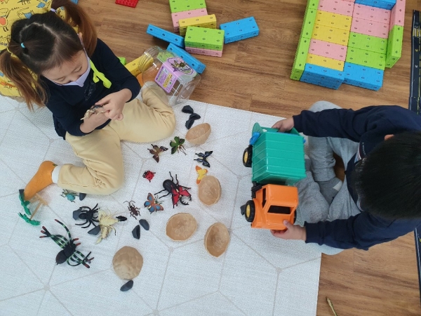 해밀유치원 유아들이 곤충관찰 놀이 교육활동을 실시하고 있다.
