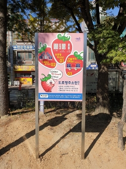 도로명주소안내판 현장점검사진