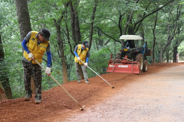 계족산황톳길 정비모습