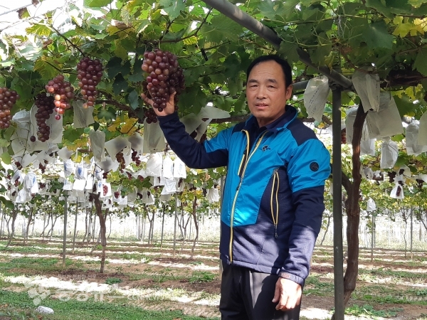 최고농업인의상 최고농업인 이관희 씨