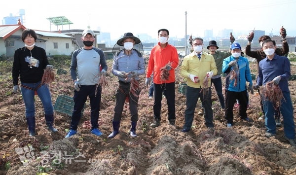 홍성에서 일손 돕는 충남도의회 기경위