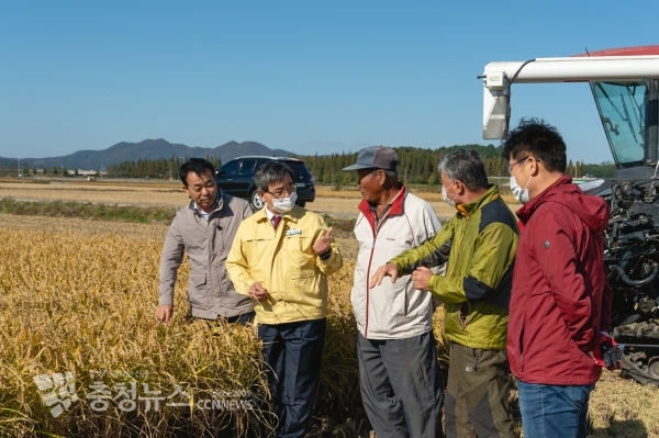 노박래 서천군수, 유기쌀 재배단지 벼 수확 현장 방문