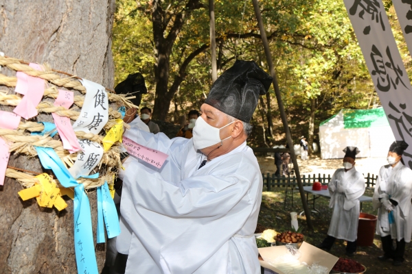 지난 24일 금산 보석사 은행나무 대신제 진행 모습