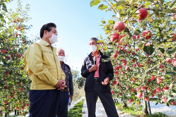 28일 김홍장 당진시장이 순성면 안찬리 최길호 농가 과수원을 방문했다.