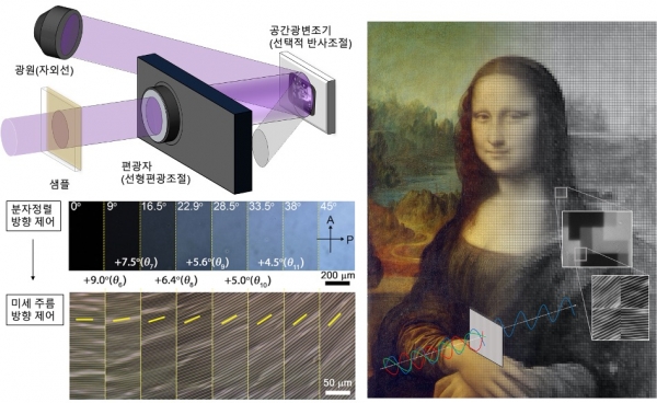 공간 광변조기와 편광자를 활용한 광반응 미세주름 형성 개념도.