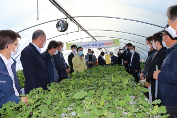 취나물 수경재배단지 현장방문 모습