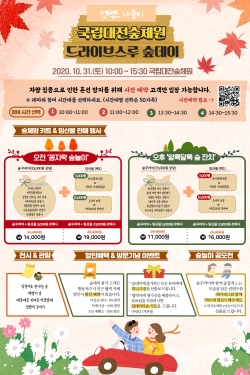 숲데이안내 포스터