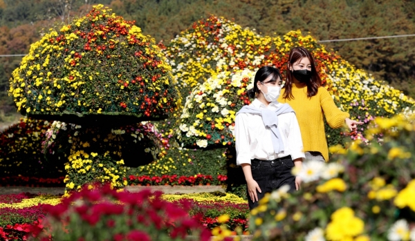 내달 6일까지 대청호자연  생태관 일원에서 2020년 대청호반 국화전시회 개최