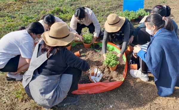 지난 28일 (구)고남초 영항분교에서 체험 활동을 하고 있는 고남초 학생들 모습.