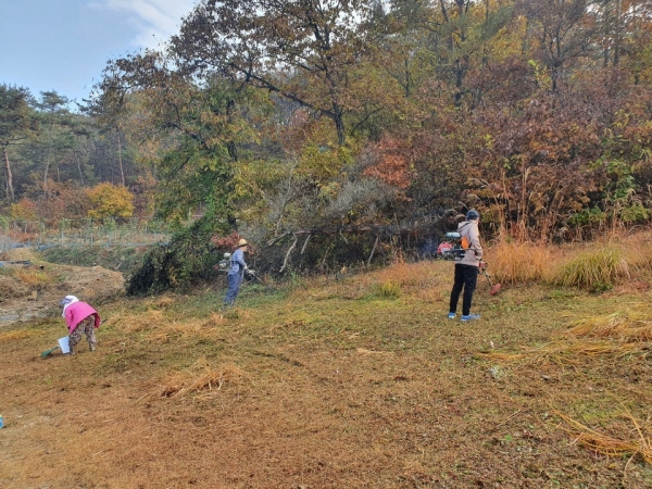 2일 중구 정생동 백자가마터 교육 및 제초작업 모습
