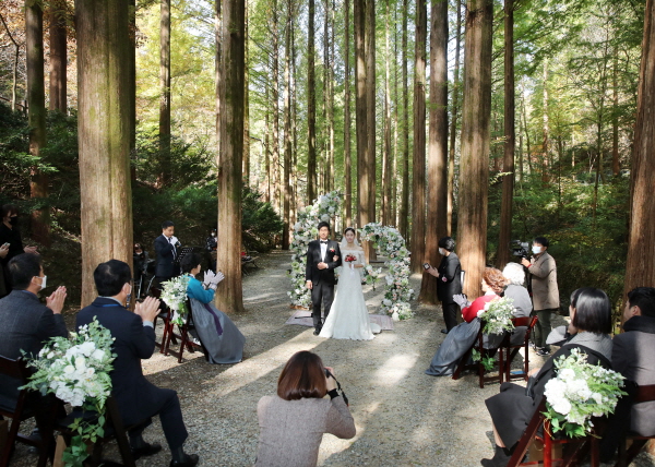 지난달 30일 장태산 자연휴양림 메타세콰이어 숲에서 제2호 커플 탄생 모습