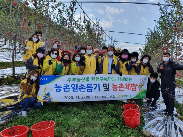 서부농협 주부농산물체험구매단, 농촌일손돕기 및 농산물 소비촉진 위한 도시주부 농산물 체험구매활동 펼쳐