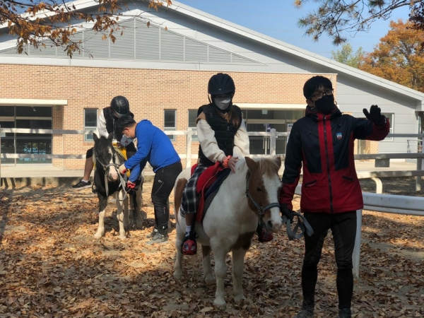 말 먹이주기 체험