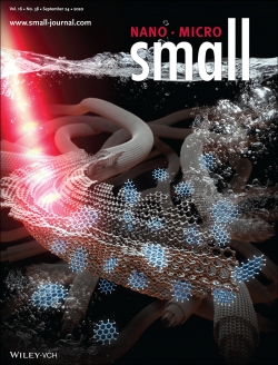 나노소재 분야 해외저널 ‘Small’의 표지논문에 게재된 이번 연구.
