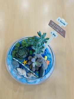 천안시건강가정지원센터가 비대면 1인 가구 대상 프로그램으로 진행한 반려식물 키우기 작품