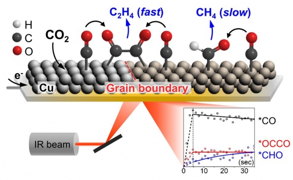 전기화학적 이산화탄소 전환 에틸렌 생성과정에서 촉매 표면의 실시간 분석 기술 모식도.