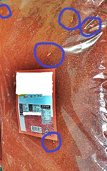 대전시 민생사법경찰과는 지난 9월부터 기획수사를 벌여 식품위생법 위반 업체 등 3곳을 적발했다. 사진은 고춧가루 유충 (원안)