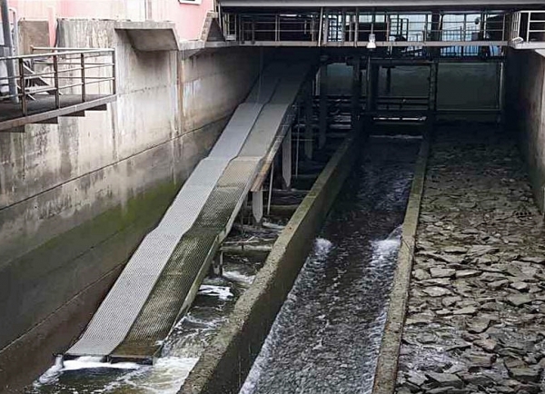 공사가 2018년 금강하굿둑에 설치한 뱀장어 전용 어도가 수산자원량과 생물다양성 증가에 기여하고 있는 것으로 나타났다