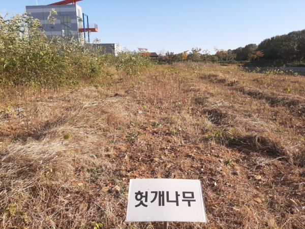 송산면에 위치한 밀원식물 생산포 전경사진