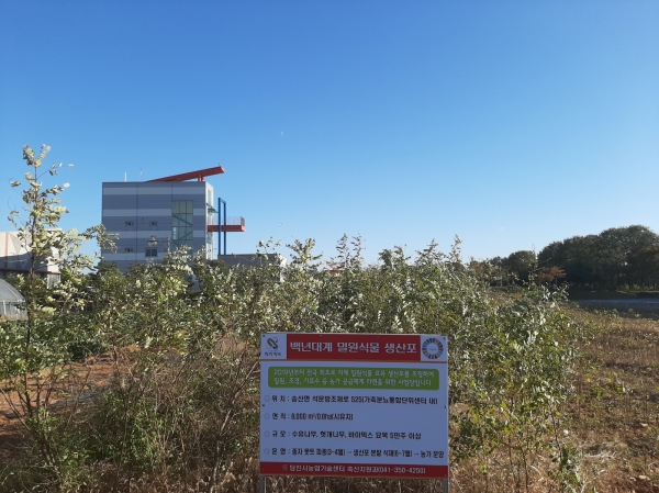 송산면에 위치한 밀원식물 생산포 전경사진