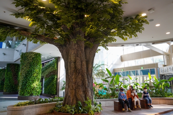 천안시청 최대 규모 녹색 실내공원 조성