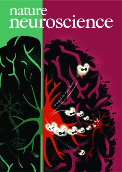 네이처 뉴로사이언스 논문 커버 이미지.
