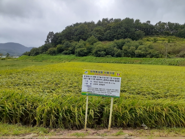 벼 ‘드문모심기’ 확대 보급