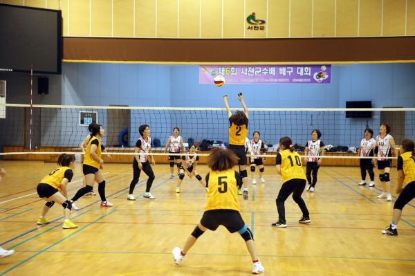 ‘2020년 제6회 서천군수배 통합체육대회’ 성황리 마무리