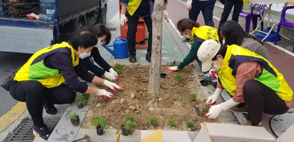 지난 14일 유성고 인근 도로변에서 박소연 온천1동장과 주민자치회 위원들이 가로수 주변에 맥문동과 사계절 패랭이를 식재하고 있다