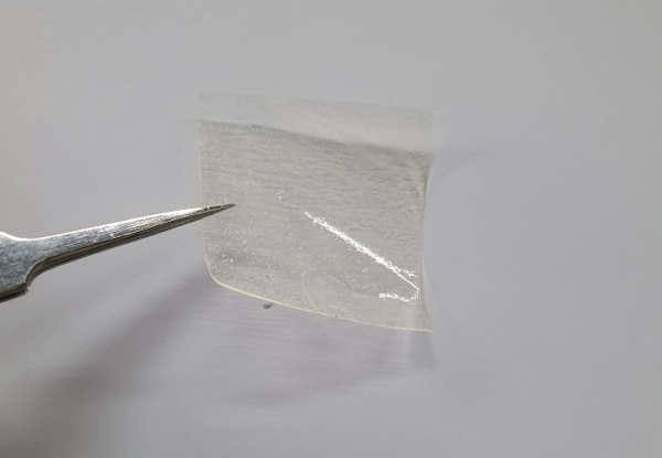 KIST 연구진이 개발한 자가치유 CPI 필름.