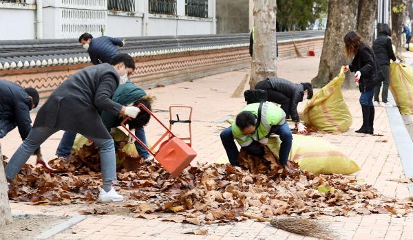 20일 옛 충남도청 뒷길에서 진행한 가을철 낙엽 대청소