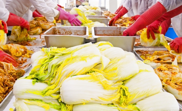 김장 사진 * 출처 : imagetoday.co.kr