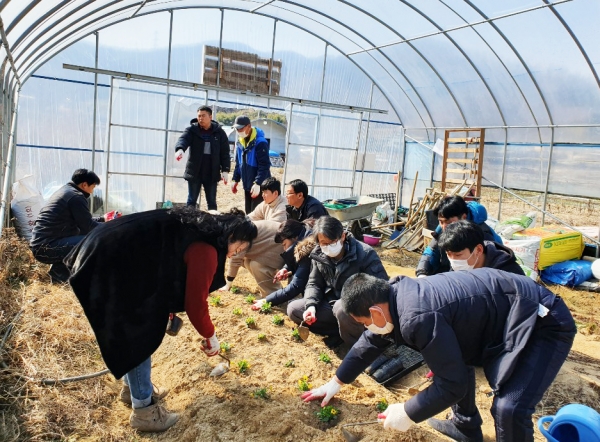 도시농업 전문가 양성과정 참여자 현장실습 모습