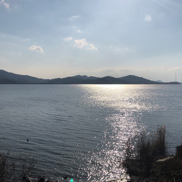 차창 밖으로 즐기는 서천 언택트 드라이브 여행 (금강변)