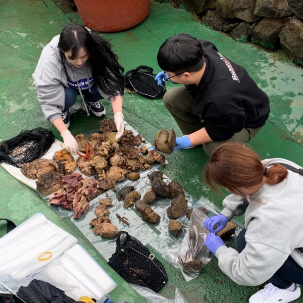 박진숙 해양 자원 연구