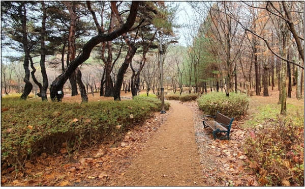 정비된 산책로, 데크 모습