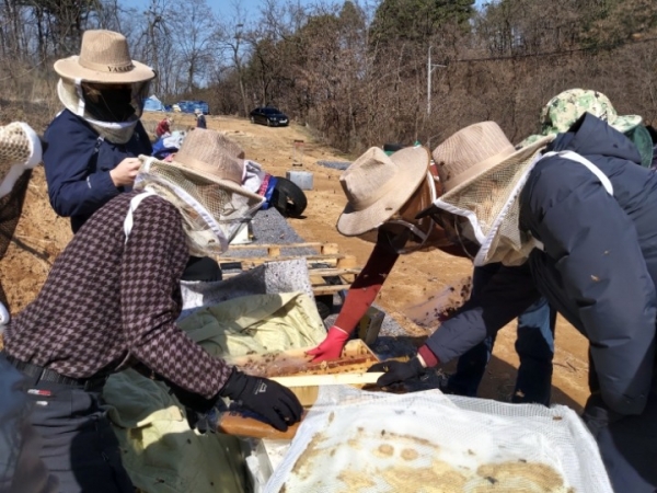 지난 3월 대전 동구 대청호수로 가마봉양봉사관학교에서 진행되고 있는 양봉창업교육