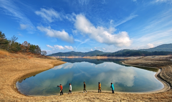 공모전 대상 수상작인 사막의 오아시스.