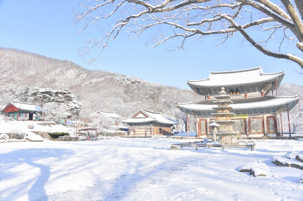 외산 무량사 모습