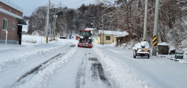 부여군 제설단 제설작업 장면
