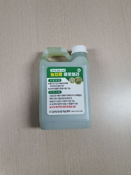 농업용 클로렐라